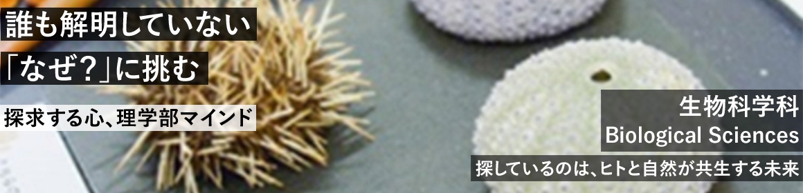 誰も解明していない「なぜ？」に挑む